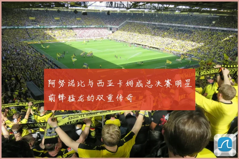 阿努诺比与西亚卡姆成总决赛明星前锋猛龙的双重传奇